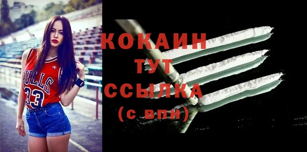 дмт Аркадак