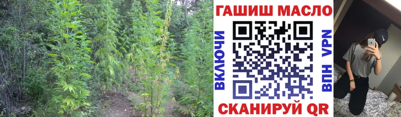 Купить закладки  Спас-Деменск  ТГК гашишное масло 